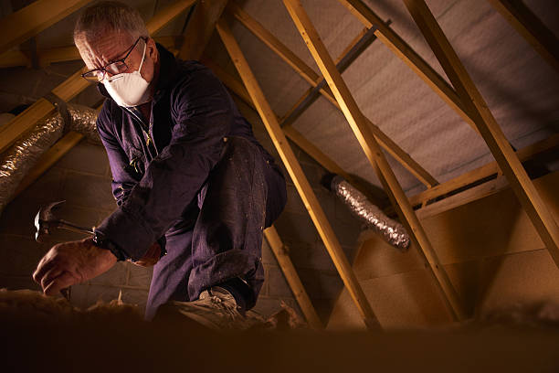 Trusted SD Insulation Contractor Experts